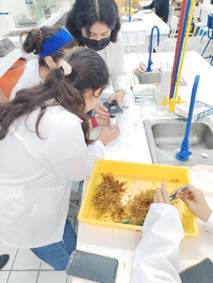 A group of people in lab coatsAI-generated content may be incorrect.