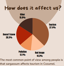 A pie chart with text and imagesAI-generated content may be incorrect.